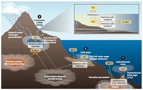 sulfate to hydrogen sulfide